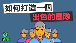 如何打造一個出色的團隊  我工作，我沒有不開心  動畫說書 [upl. by Leasim]