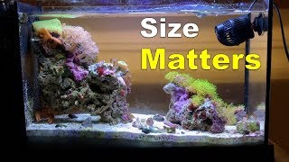 The Truth about the Fluval Evo V  Size [upl. by Irdua]