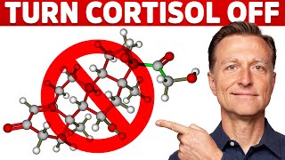 Why Its Hard To Turn Stress Cortisol Off – Dr Berg [upl. by Aztiray]