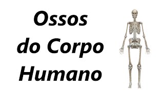 Ossos do Corpo Humano em 3D [upl. by Calli]