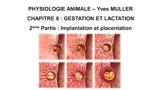 Chapitre 62 Implantation et placentation [upl. by Cha]