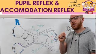 Pupillary light reflex and Accommodation reflex [upl. by Houlberg]