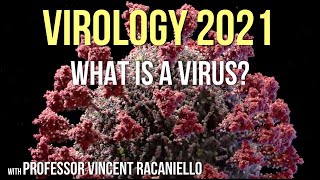 Virology Lectures 2021 1 What is a Virus [upl. by Carlota467]