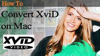 iSkysoft iMedia Converter Deluxe How to Convert XviD Files on Mac [upl. by Brynne]