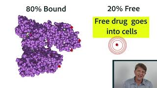 Pharmacokinetics Part 2 Distribution protein binding equilibrium [upl. by Pownall]