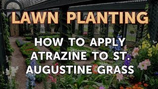 How to Apply Atrazine to St Augustine Grass [upl. by Gallager]