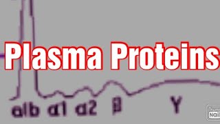 Plasma Proteins Biochemistry Albumin Globulins  Fibrinogen [upl. by Okihsoy]