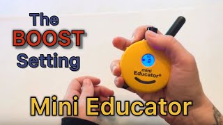 How to Set the BOOST Function on the ET300 Mini Educator ECollar [upl. by Ynnatirb]