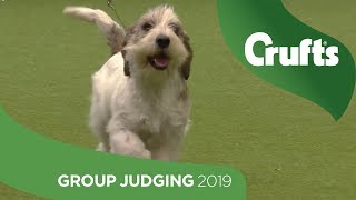 Hound Group Judging And Presentation  Crufts 2019 [upl. by Mungam599]