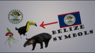 BELIZE NATIONAL SYMBOLS [upl. by Jessy372]