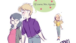 quotMr and Mrs Agrestequot Miraculous Ladybug Comic Dub [upl. by Annawit167]