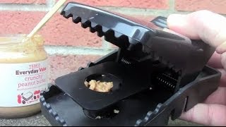 Rat Trap Unboxing and Testing [upl. by Nogras]