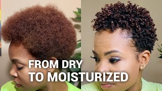 Styling my DRY natural hair  wash and go [upl. by Chapa]