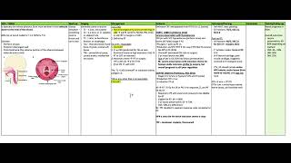 Anatomy and physiology of the pharynx [upl. by Adiaj]