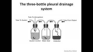 Comprehensive Pleural Procedures [upl. by Bonis]