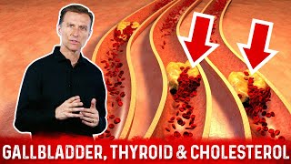 The Gallbladder Thyroid amp Cholesterol Link Part  4 – Dr Berg [upl. by Bodwell]