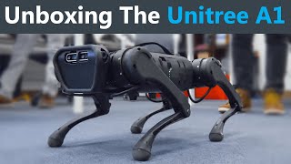 Unboxing a LowCost Robot Dog [upl. by Mag]