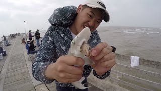 TEXAS Pier Fishing Catch fish Fast [upl. by Idyak]