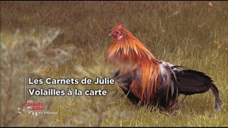 Les volailles à la carte  Les carnets de Julie [upl. by Ag]