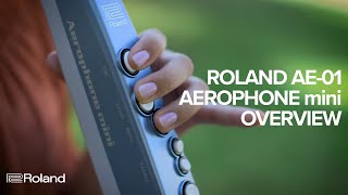 Roland AE01 Aerophone mini Overview [upl. by Balfour501]