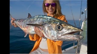 Fishing Nearshore Wrecks for KING MACKEREL Kingfish ft How To [upl. by Nichola]