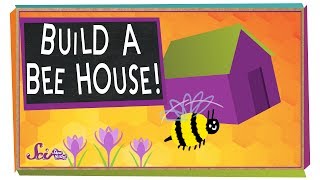 Build a Beehouse  Science Project for Kids [upl. by Kelleher]