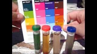 How To Test Your Soil  Gardening  Soil Testing Kit [upl. by Pell117]