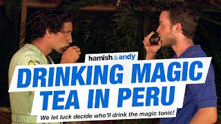 Drinking Magic Tea In Peru [upl. by Trescott197]