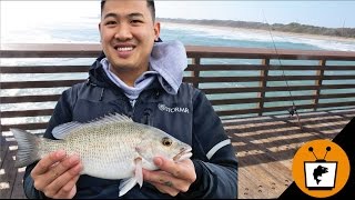 FLORIDA Pier Fishing Catch Fish Fast [upl. by Maxie]