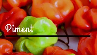 Recette de piment très facile ♡ [upl. by Linda]