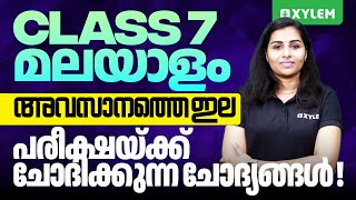 Class 7 Malayalam  അവസാനത്തെ ഇല  പരീക്ഷയ്ക്ക് ചോദിക്കുന്ന ചോദ്യങ്ങൾ  Xylem Class 7 [upl. by Terrel847]