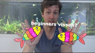 Welke beginners vis moet je Aquarium vissen voor iedereen 8 [upl. by Kerianne]