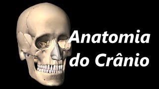 Anatomia do Crânio em 3D [upl. by Pallaten451]