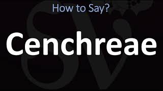 How to Pronounce Cenchreae CORRECTLY [upl. by Aiuqat]