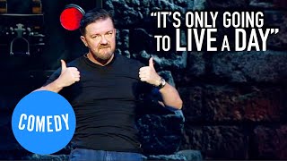 A Dog Is For Life  Ricky Gervais  Universal Comedy [upl. by Garbe]