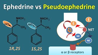 Ephedrine vs Pseudoephedrine  Similarities and differences [upl. by Lramaj264]