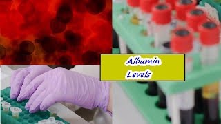 Albumin Levels – High Low Normal Range [upl. by Yalhsa]