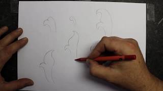 How to draw scroll designs The basics [upl. by Gamages897]