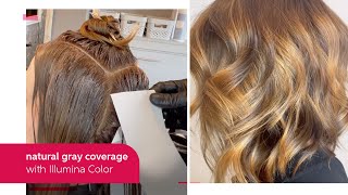 NaturalResult Gray Coverage with Illumina Color  Wella Professional [upl. by Yeruoc]