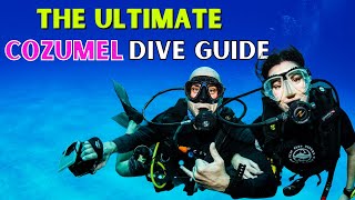 Where to Scuba Dive in Cozumel ULTIMATE DIVE GUIDE [upl. by Maletta]