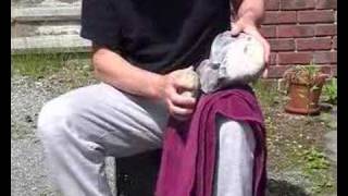 basic flint knapping [upl. by Santana]