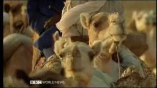 The Lost Libraries of Timbuktu 1 of 5  BBC Travel Documentary [upl. by Carr]