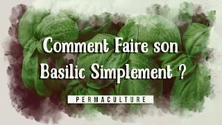 Comment semer et repiquer son basilic simplement [upl. by Mussman831]