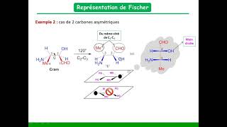 Cram Newman et Fischer [upl. by Ahsimak241]