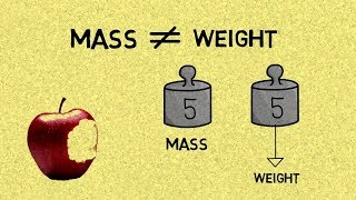 The Difference Between Mass amp Weight [upl. by Abran40]