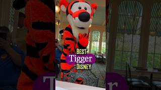 Best Tigger Disney [upl. by Assirac24]