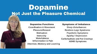 Demystifying Neurotransmitters Serotonin Dopamine and Beyond [upl. by Sregor]