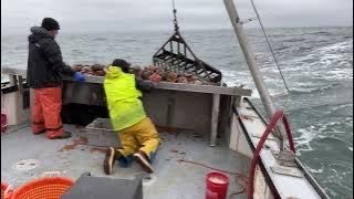 Scallop Dragging Off Rocky Maine Coast [upl. by Brana]