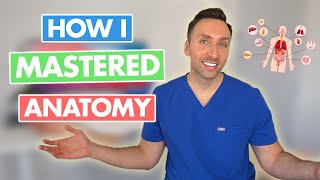 How I Memorized ALL Anatomy [upl. by Cleland]