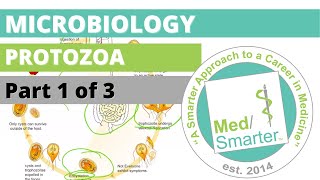 Protozoa  Microbiology  USMLE STEP 1  Part 1 of 3 [upl. by Adav180]